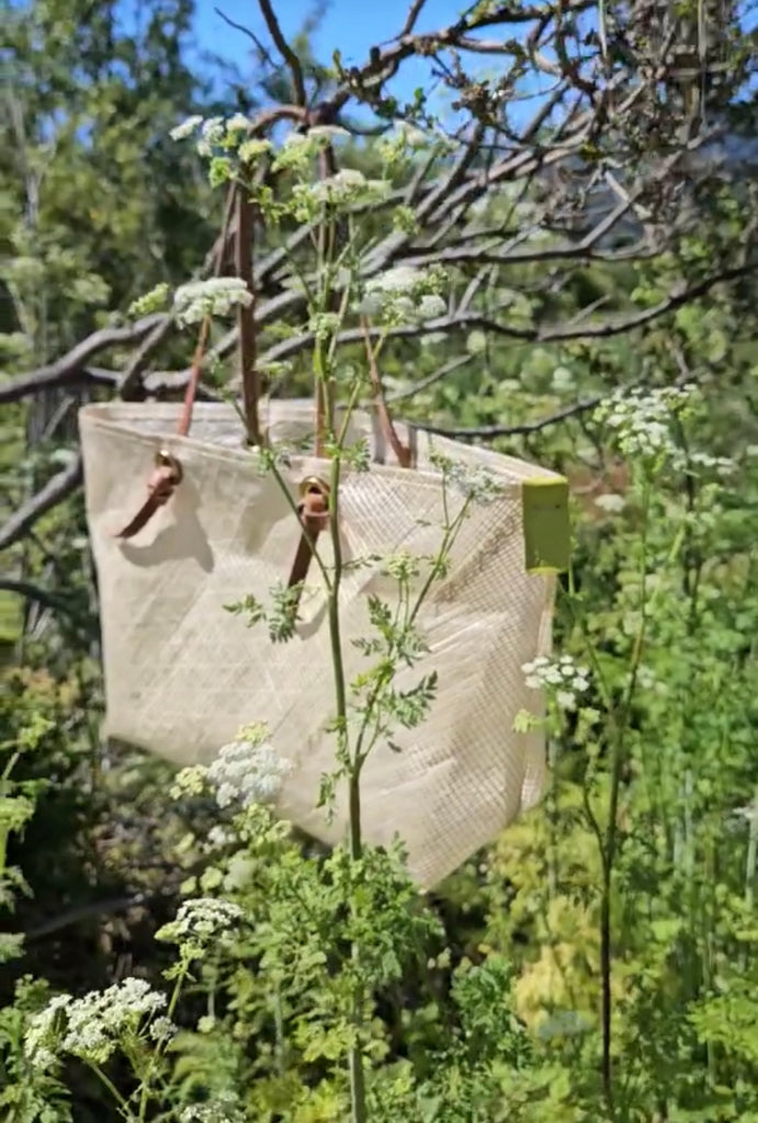 Laminate Ballast Bag - Beige -  Landfall Leatherworks