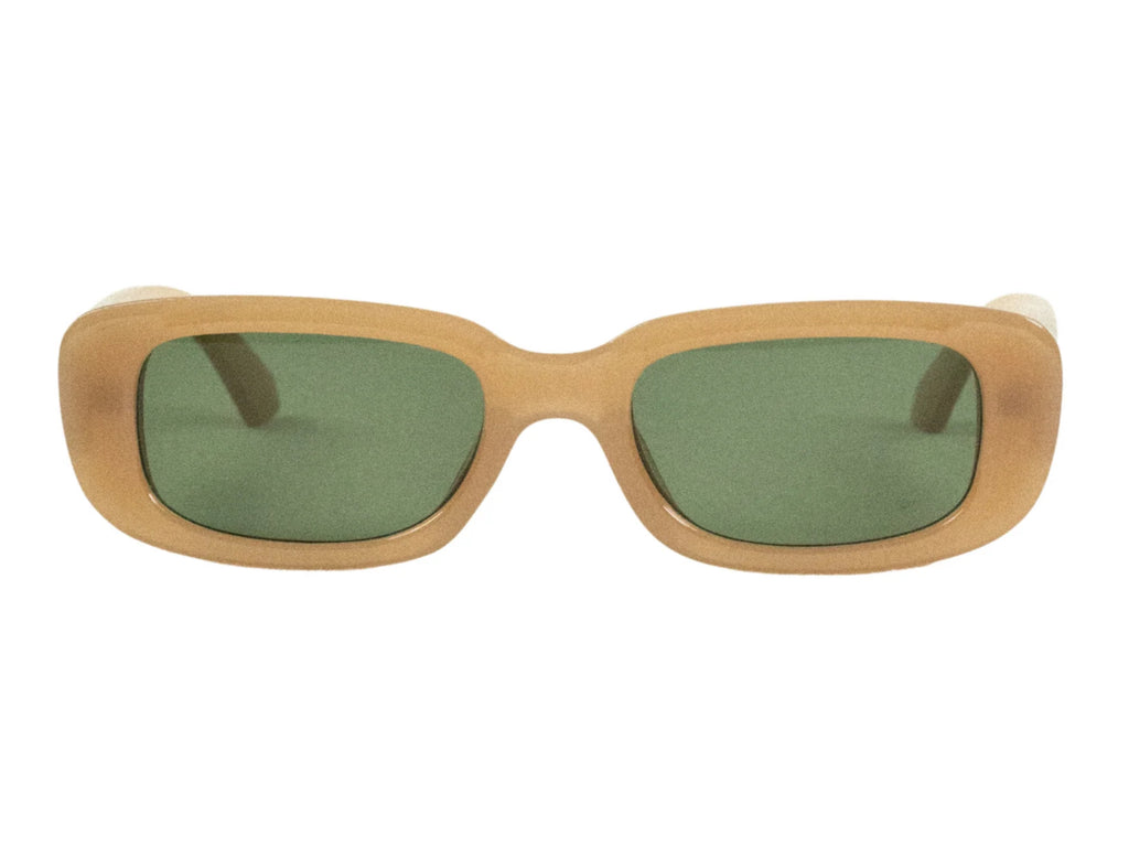 ARVO Sunglasses