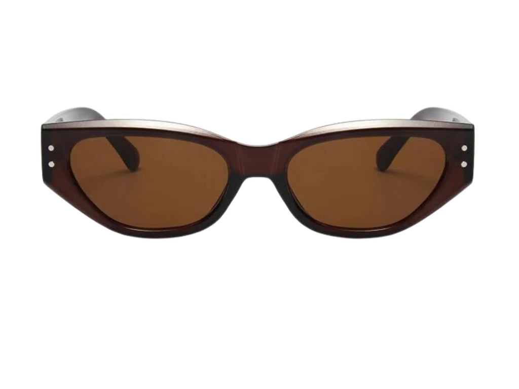 ARVO Sunglasses